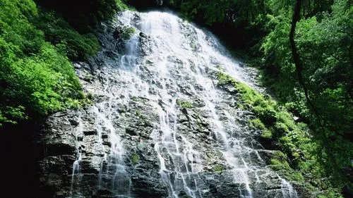 绿色高精度
